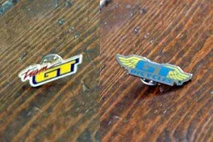 2 pins.webp