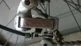 rear.webp
