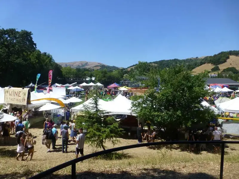 More festival.webp
