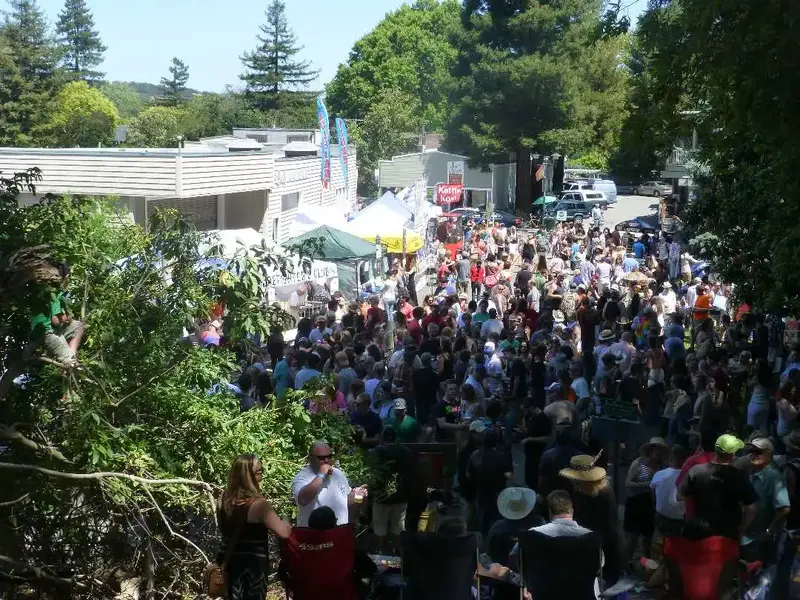 Festival Crowd.webp