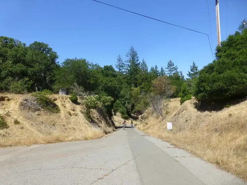 The Steepest Pitch.webp