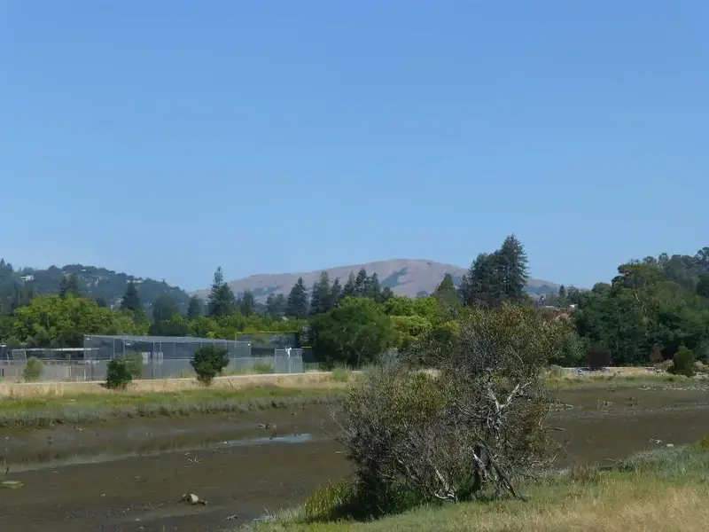 Tide is out.webp