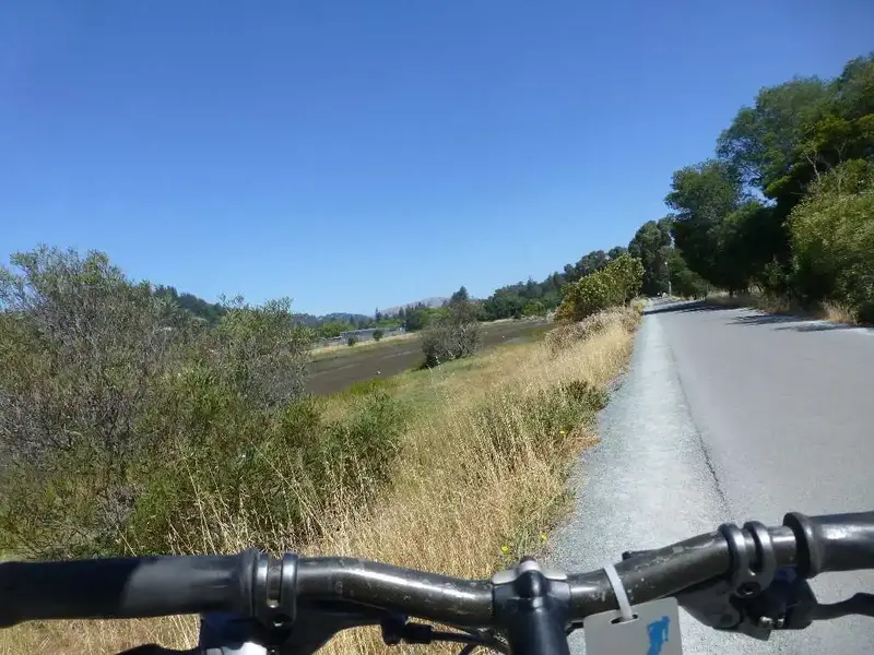Bike Path.webp