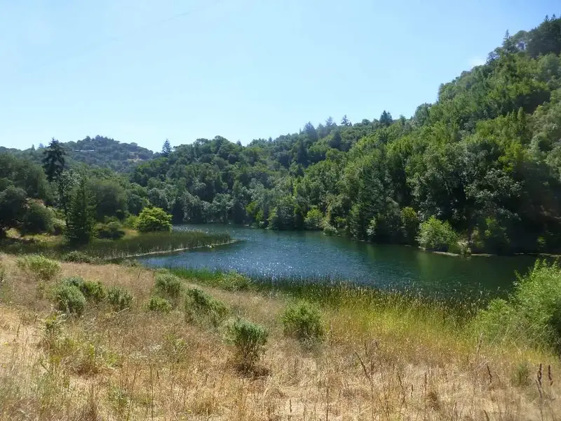 Phoenix Lake.webp