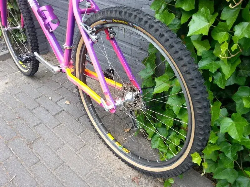20150620_132911 (800x600).webp