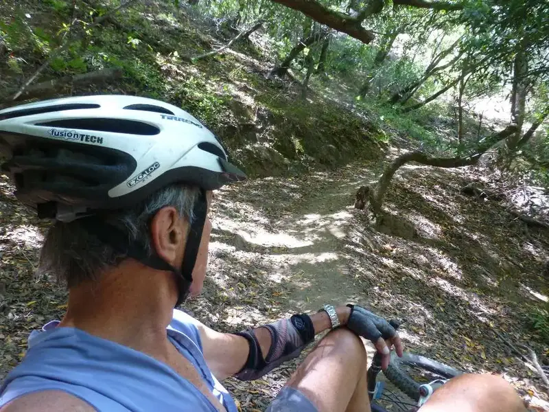 Today's trail.webp