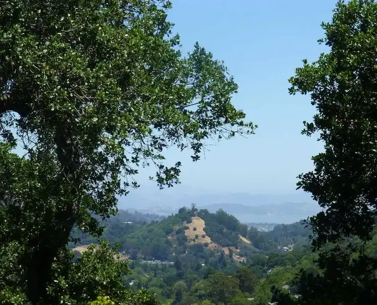 Red Hill.webp