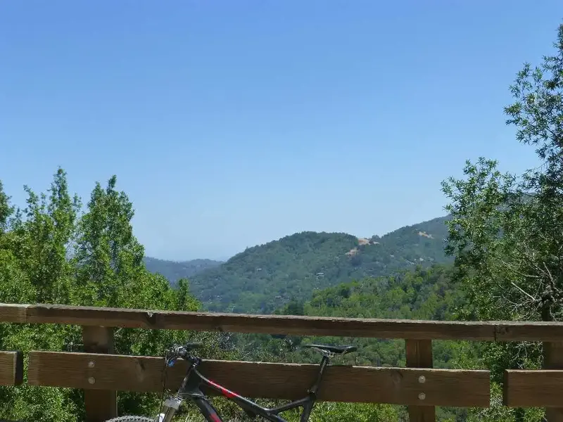 Half way up.webp