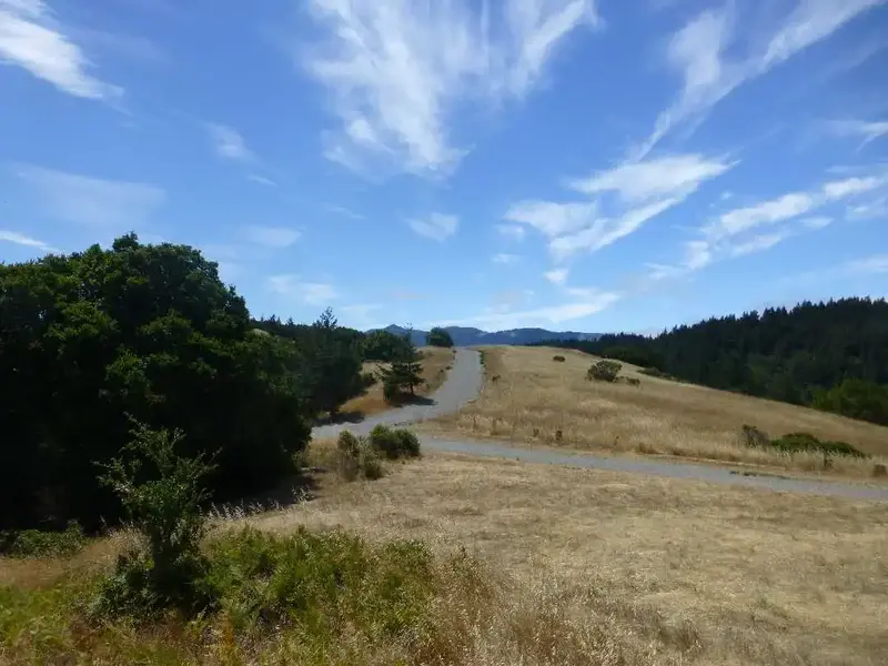 Rest stop.webp