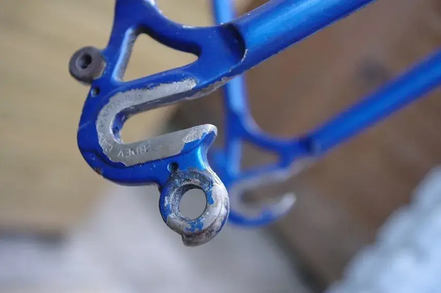 rear drop out.webp