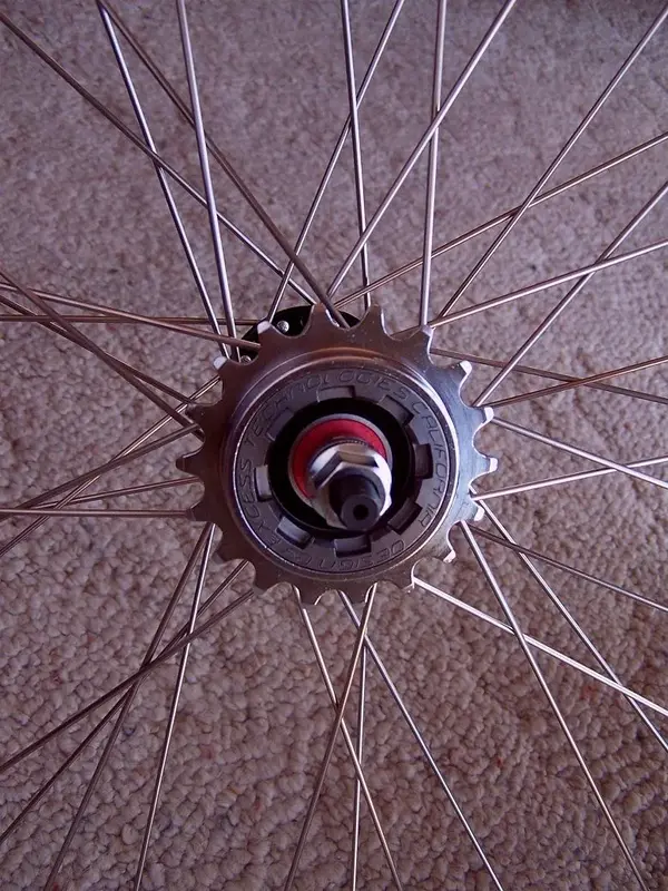 Trek ss3 001.webp
