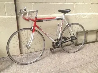 Raleigh.webp