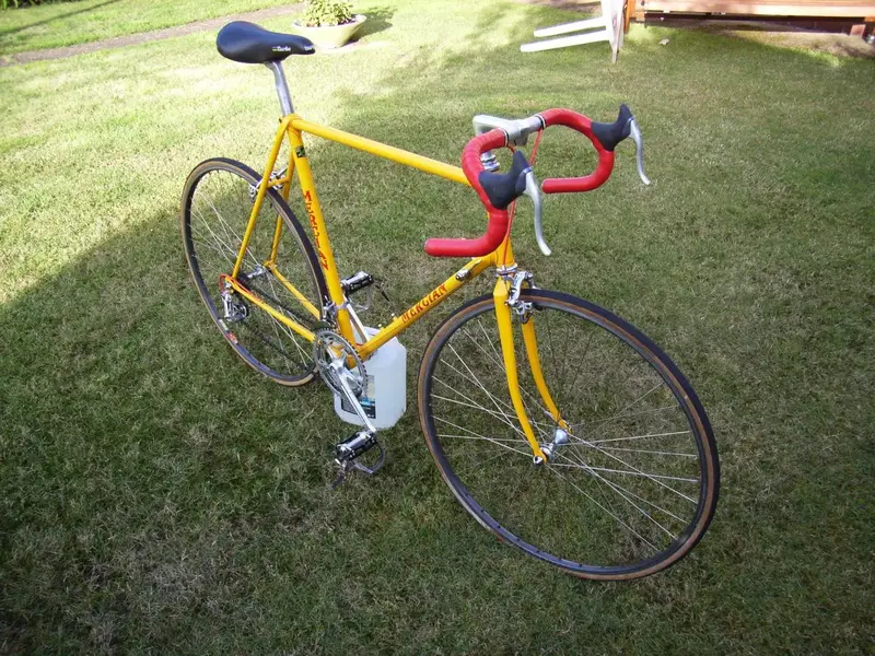 Mercian08.webp