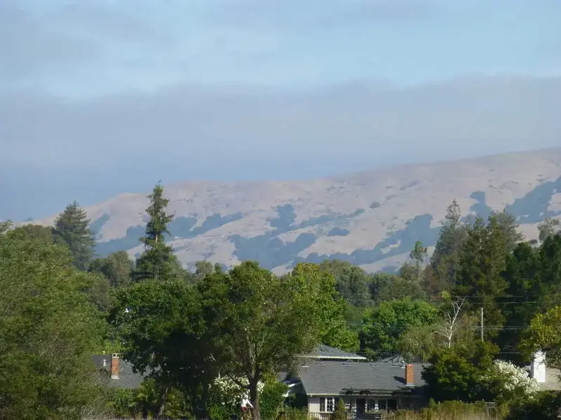 Fog burning off.webp