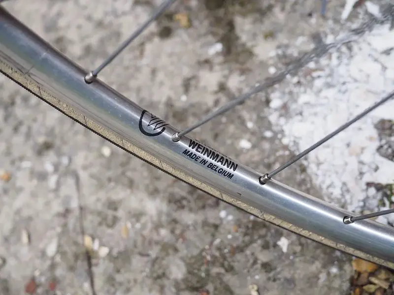 rALEIGH 5.webp