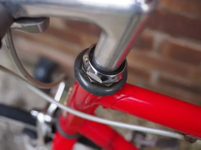 Raleigh 7.webp