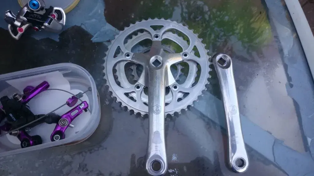 Campagnolo.webp