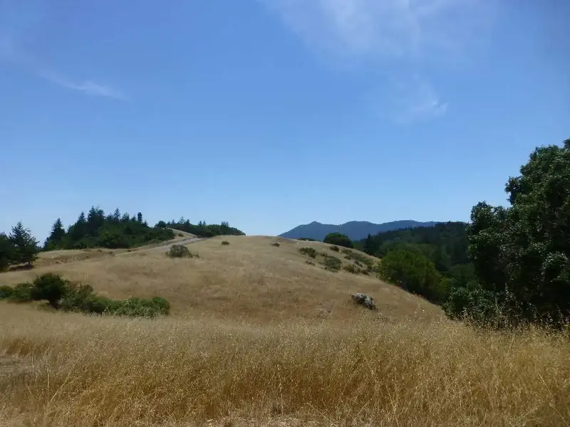 View Spot.webp