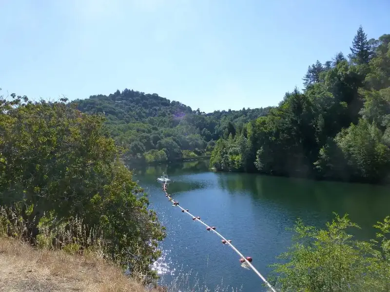 Phoenix Lake.webp