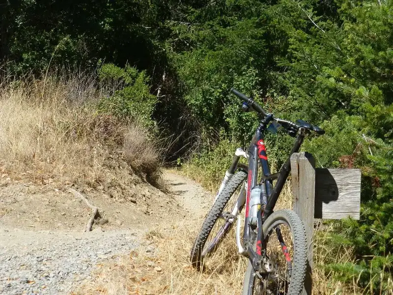 Broken Dam Trail.webp