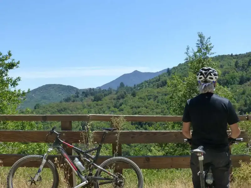 View Spot.webp