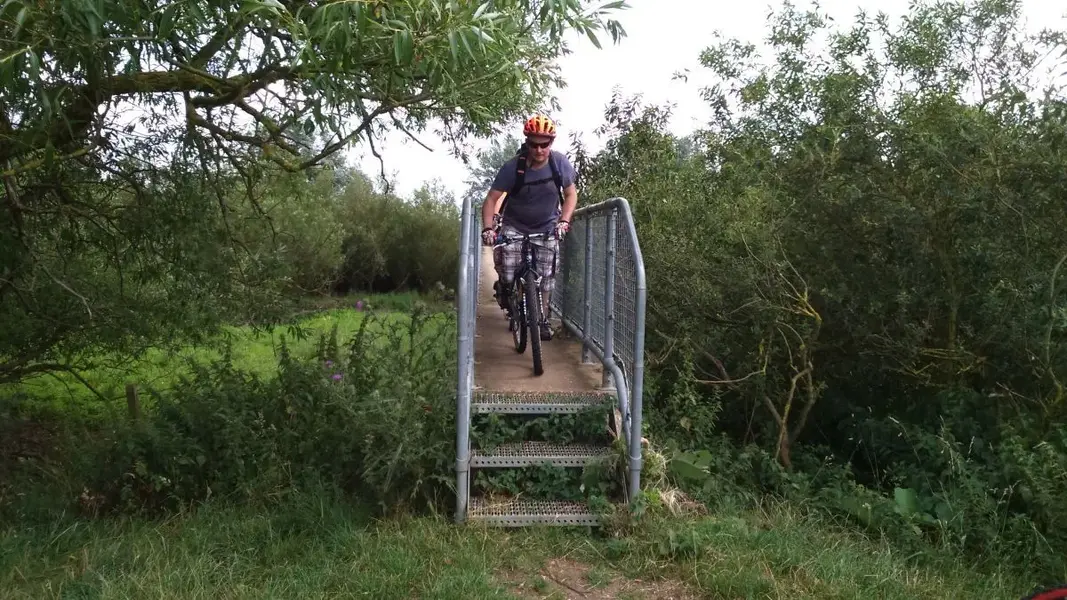 i can ride it.webp