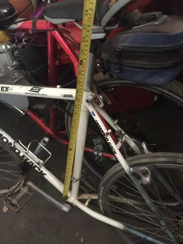 1989 DB Ascent EX 01.webp