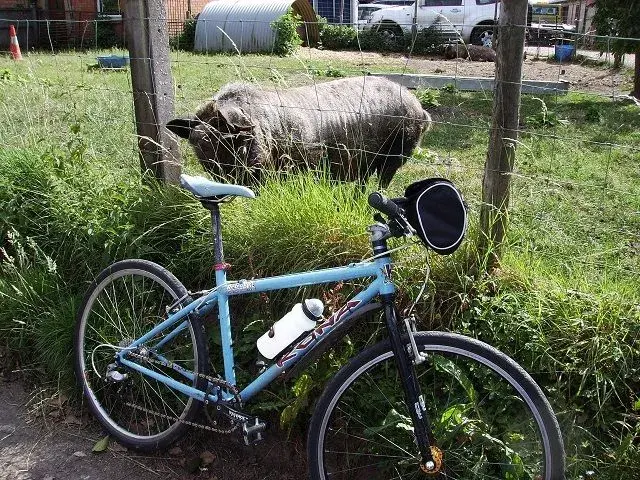 July ride 008.webp