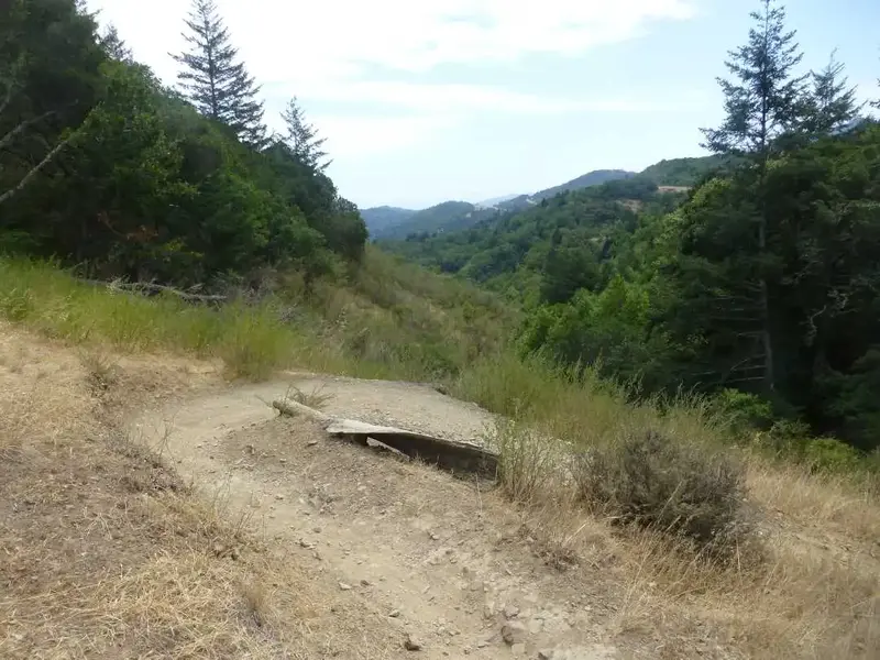 Tight U turn.webp