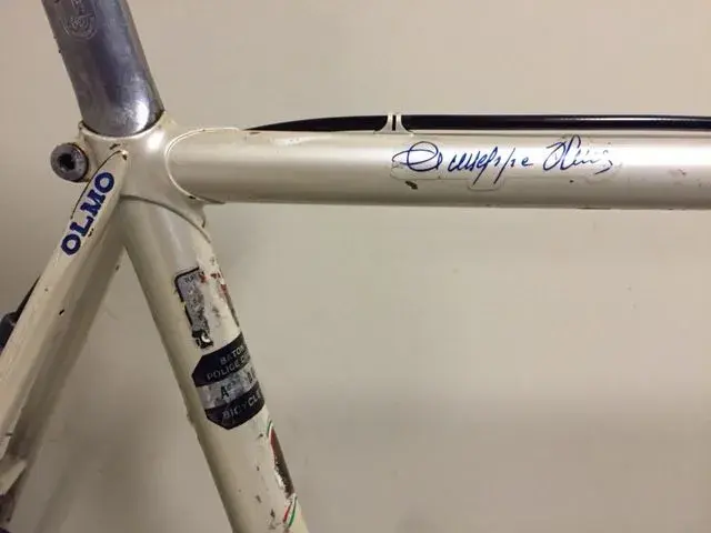 Olmo03.webp