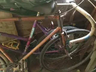 bike1.webp
