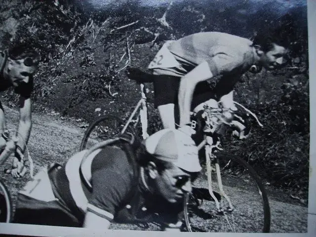 Interesting cycle race photo! 002.webp