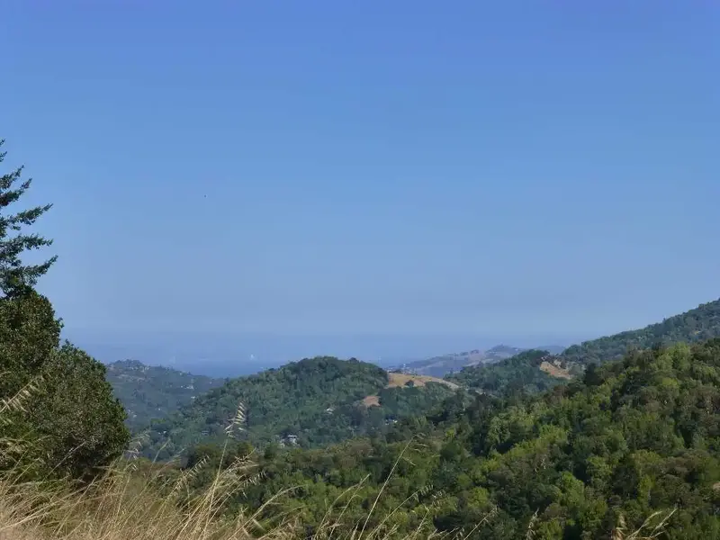 Blue Skies.webp