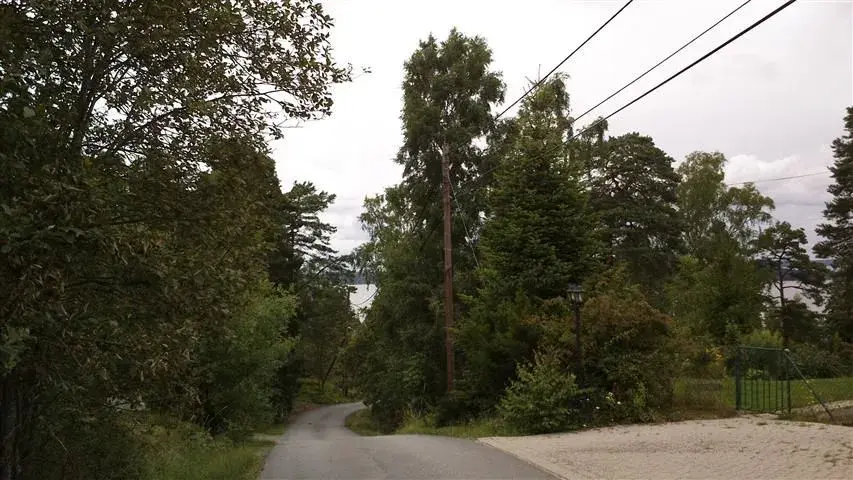 hill.webp