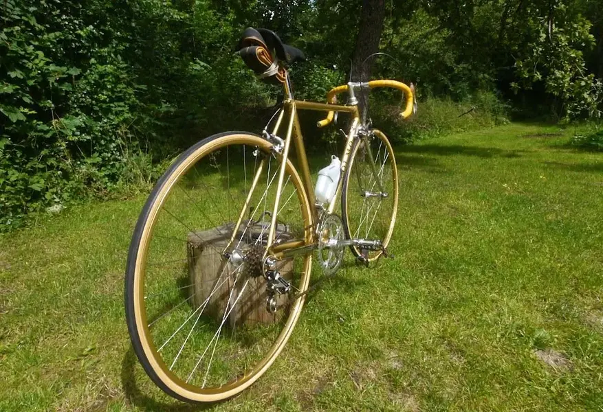 Olmo Comp HF 040.webp