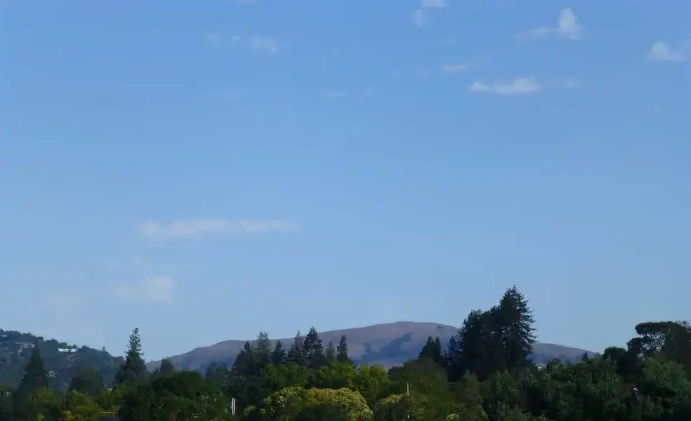 Loma Alta above Fairfax.webp