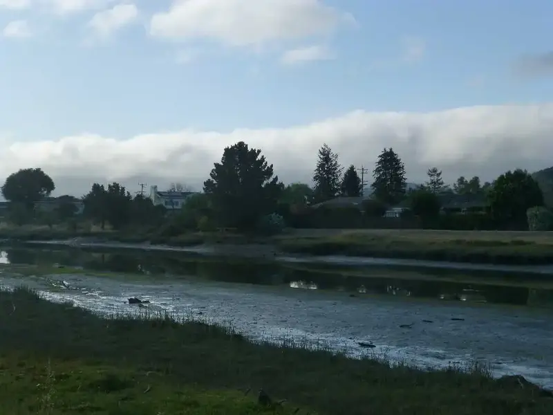 Foggy Bay.webp