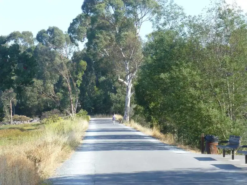 Bike Path.webp