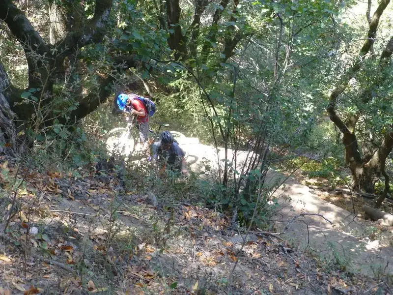 Second guy stopped.webp