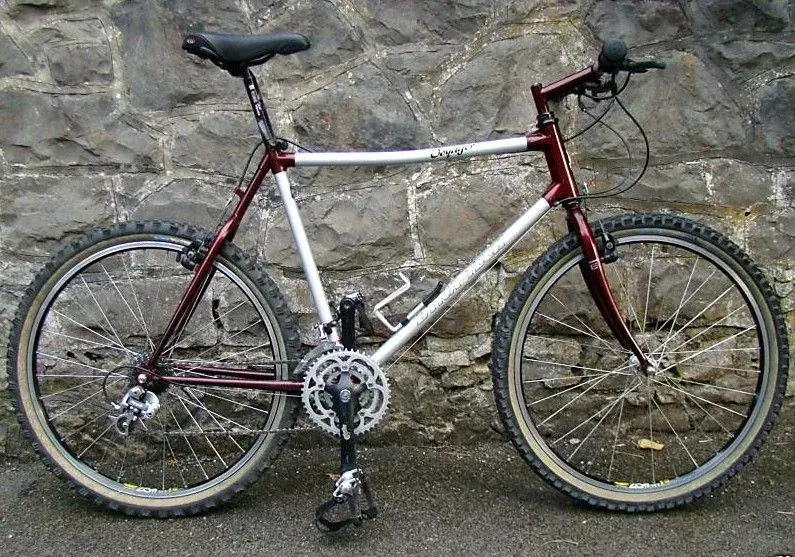 bike.webp