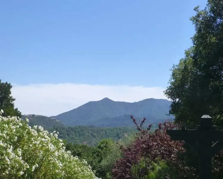 Foggy South of Tam.webp