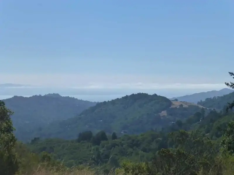 Foggy Bay.webp
