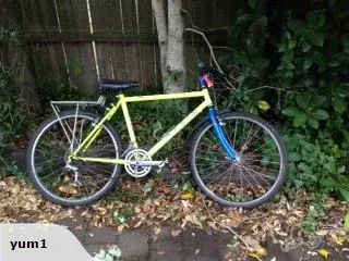 1991 Pine Mountain Neon Yellow Blue Forks.webp