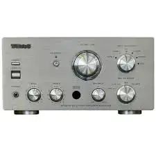 teac 300 amp.webp