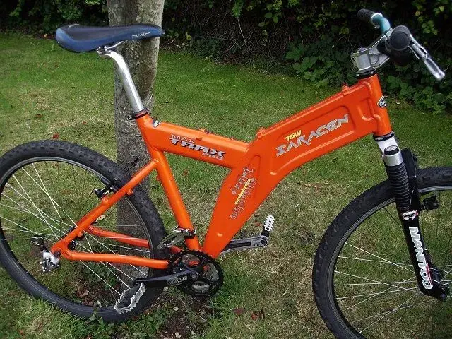 Joel's Saracen 005.webp