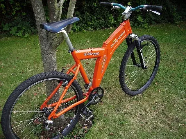 Joel's Saracen 004.webp