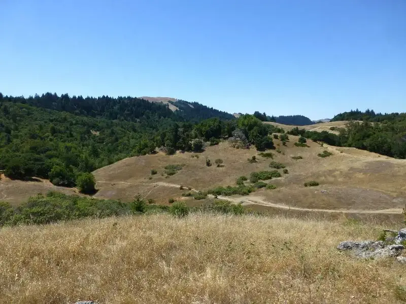 MTB Playground.webp
