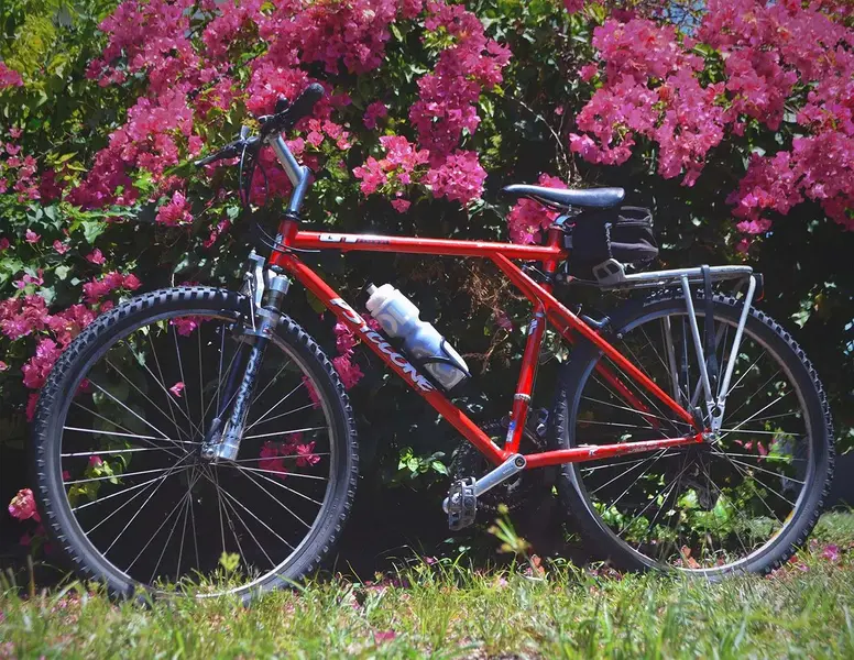 gt bike 297.webp