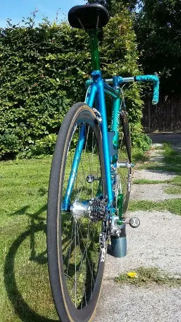 rear2.webp