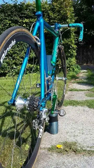 rear low.webp